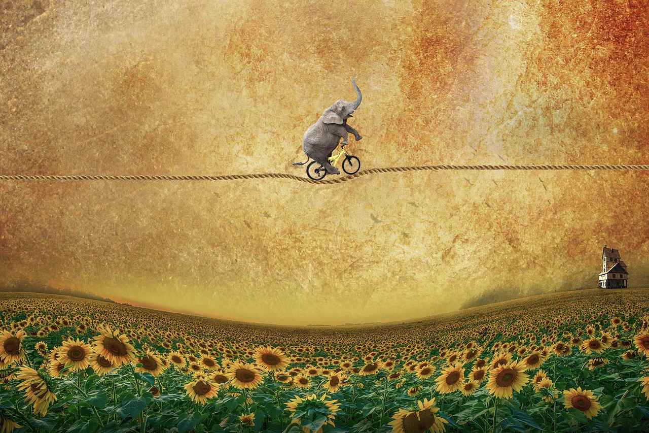 The Origins of New Balance