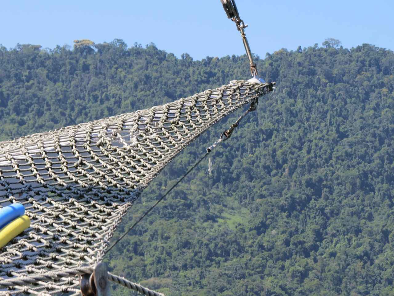 Commitment to Sustainability