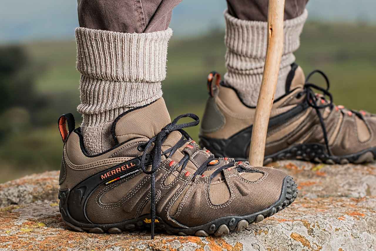 Comparing New Balance 910 with Other Trail Shoes