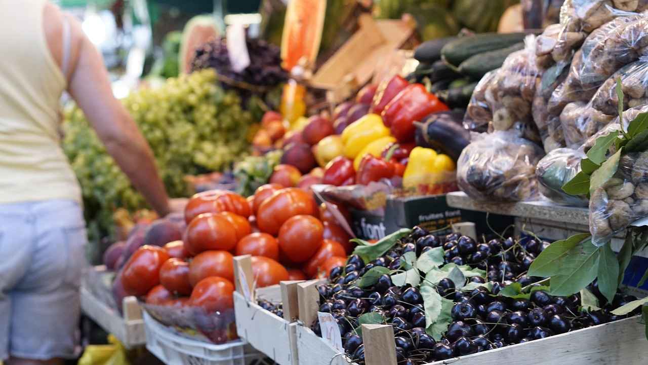 Exploring New Balance’s Commitment to Sustainability Exploring New Balance’s Commitment to Sustainability