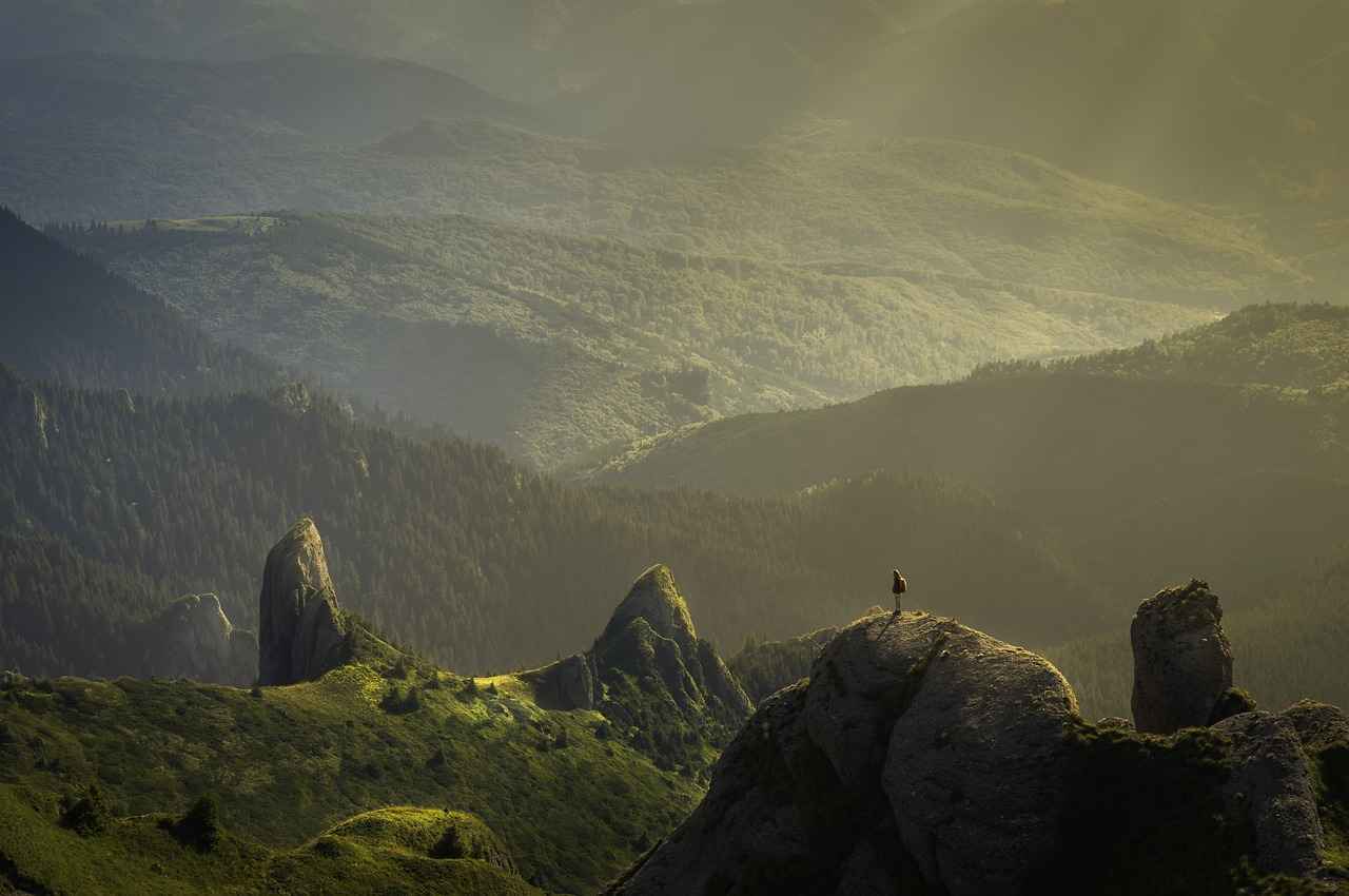 Key Features of New Balance Hiking Shoes