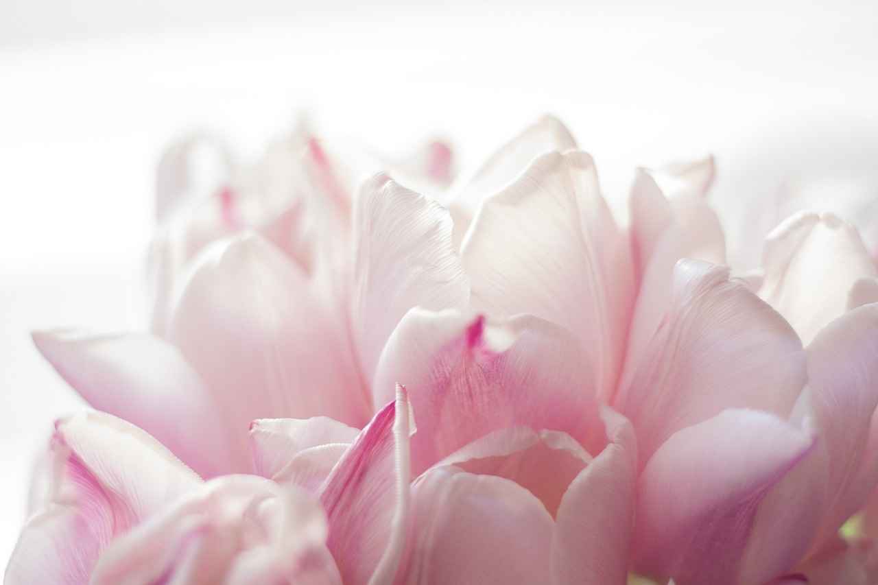 Popular Pink New Balance Models