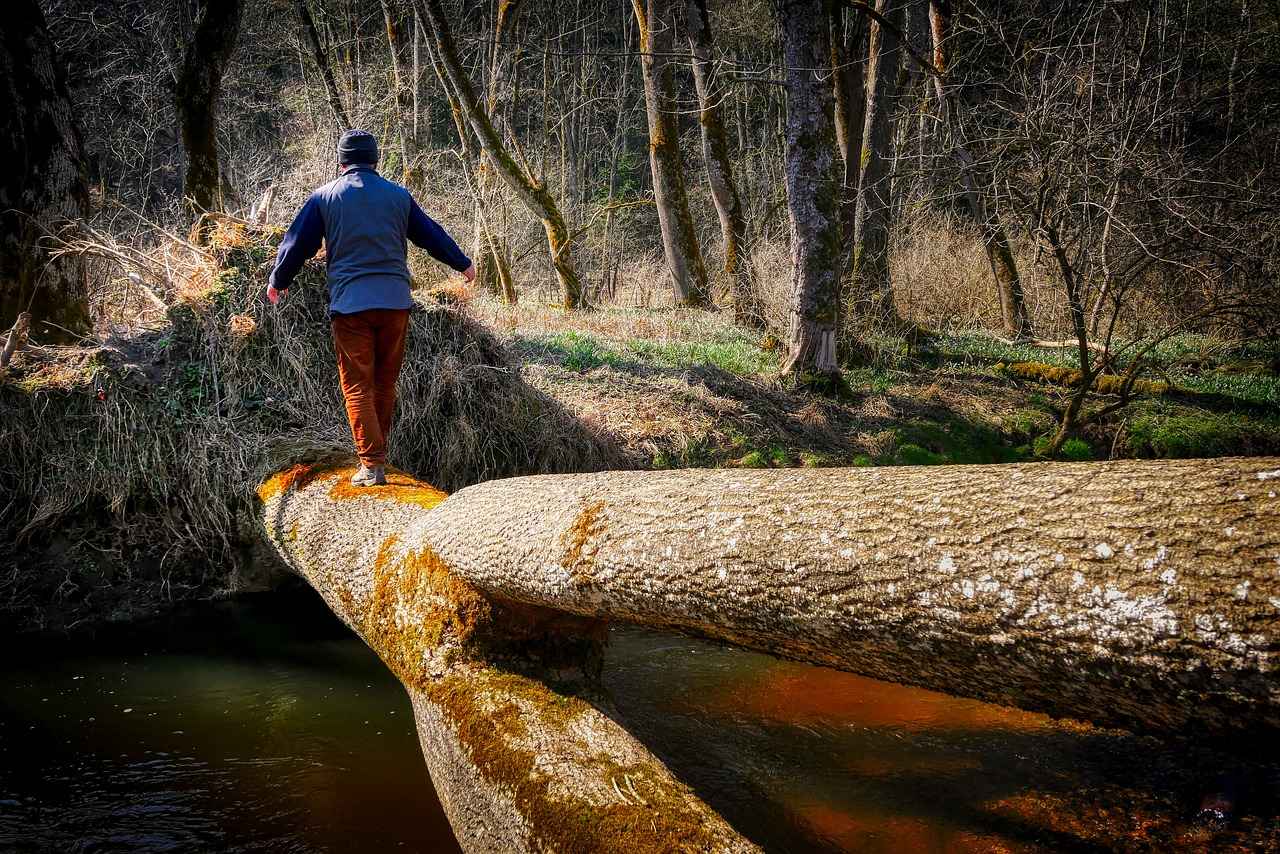 Collaborations and Limited Editions