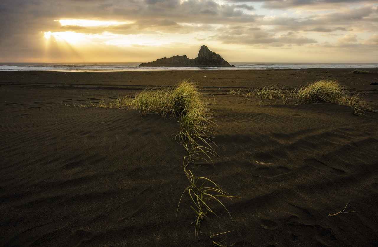 The Essential Guide to New Balance Accessories 2 Top New Balance Accessories for Runners