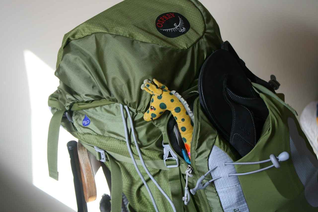 Popular Styles of New Balance Backpacks