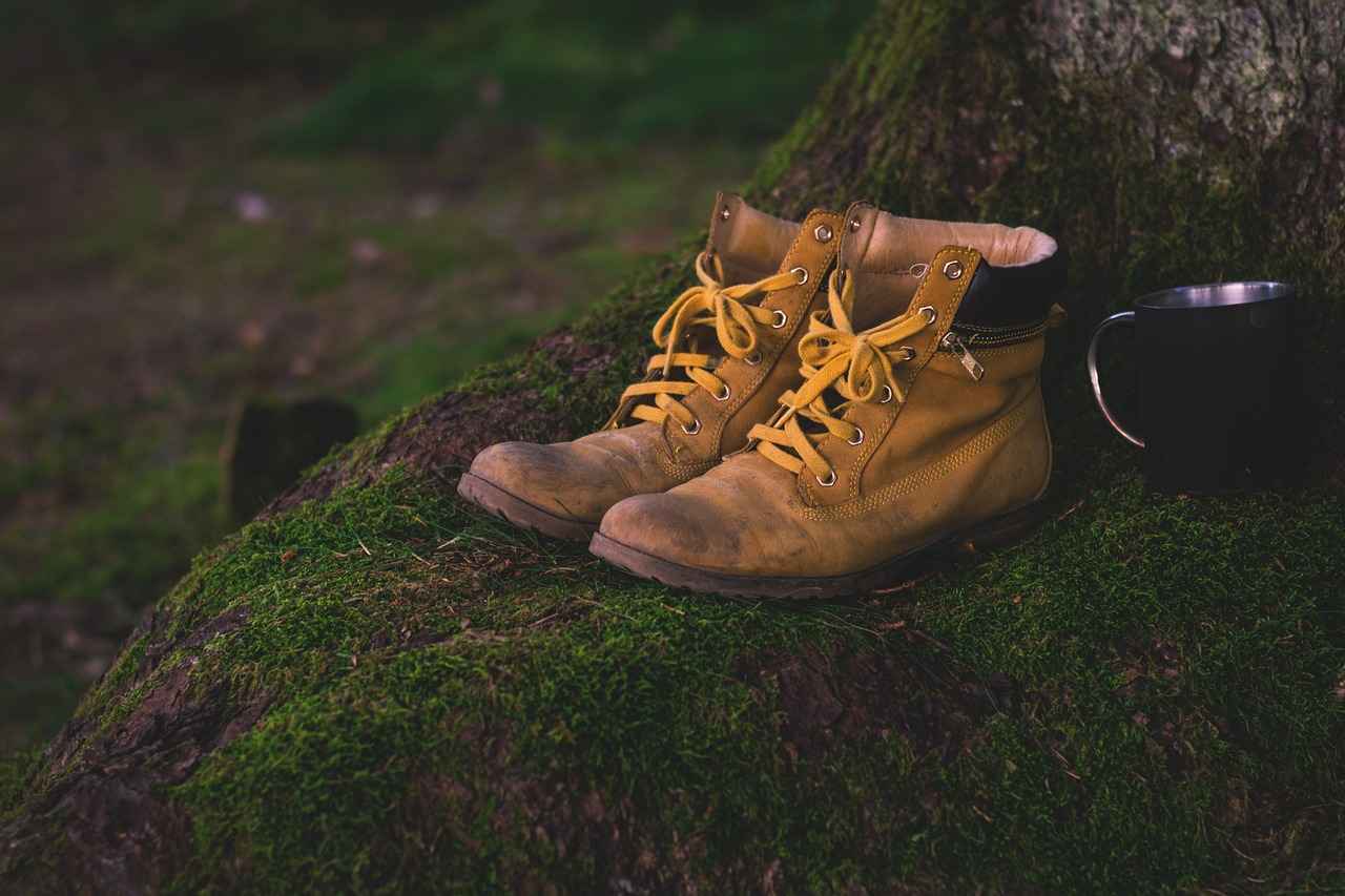 Exploring New Balance 910 Series: Trail-Ready Shoes