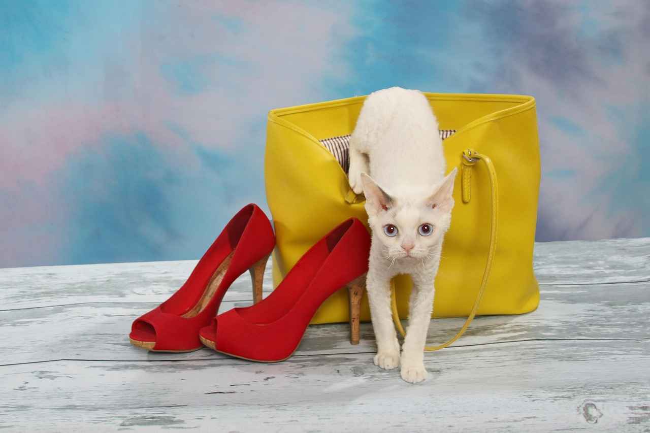 The Allure of Red Footwear