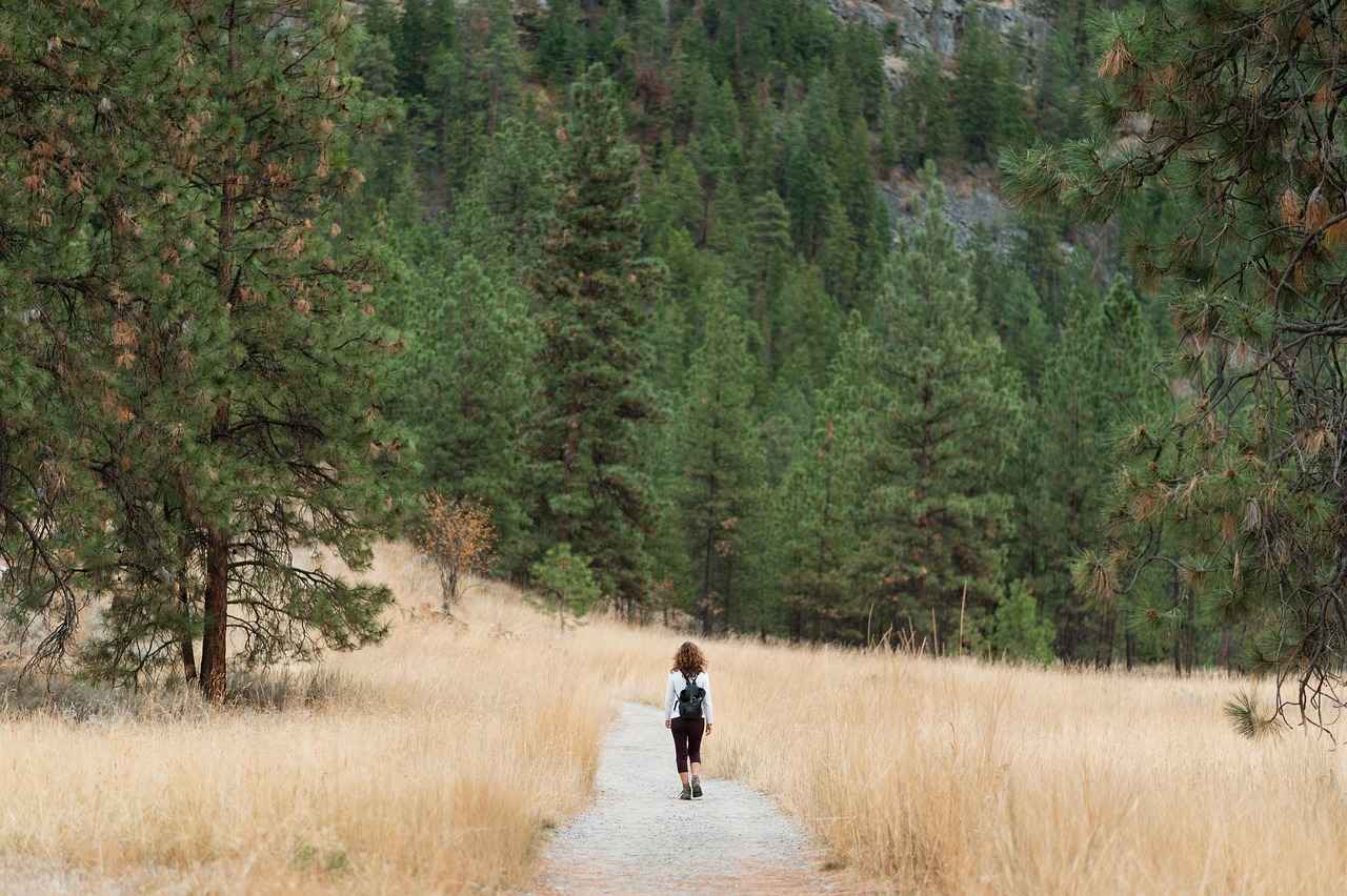 Why New Balance 1400 Hiking Shoes Are Perfect for Trails